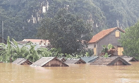 Tiếng gọi mẹ khi mùa bão về!