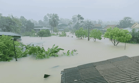 Hà Tĩnh: Các huyện Nghi Xuân, Thạch Hà, Cẩm Xuyên gấp rút sơ tán người dân