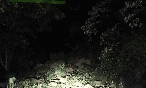 11 hộ dân tại Quảng Nam bị vùi lấp, khẩn trương tiến hành công tác cứu hộ