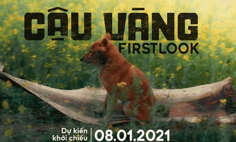 Phim “Cậu Vàng” ra mắt những thước phim đầu tiên