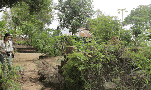 Đền Văn Thánh - tư liệu quý giá, góp phần làm phong phú di tích lịch sử 