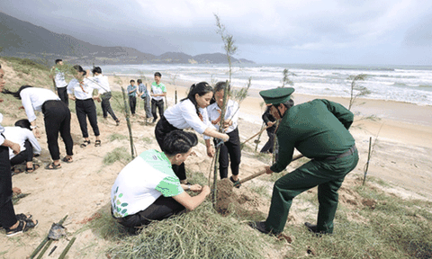 Mạng xã hội bỗng chốc “xanh rì” với chiến dịch “Triệu cây vươn cao cho Việt Nam xanh”