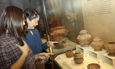 Trưng bày kết quả khai quật di tích Bãi Cọi