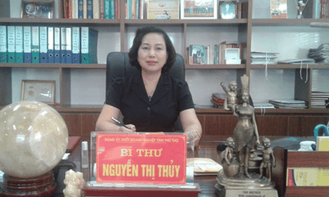 Phú Thọ: Hiệu quả từ công tác củng cố, phát triển tổ chức Đảng...