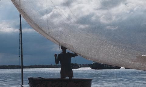 Kiếm "cơm" trên những chiếc rớ trời…