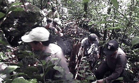 Nghề rừng - Đồng tiền đổi bằng tính mạng - Kỳ cuối: Nước mắt lăn dài theo mộng trầm hương