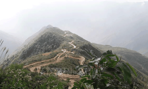 Sơn La: "Thiên đường mây trắng" trên đỉnh Tà Xùa
