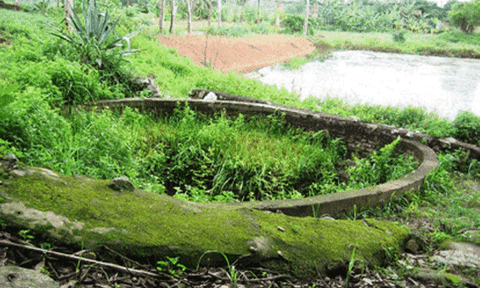 Bình Sơn - Thiêng liêng tháp cổ!