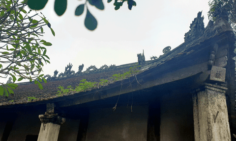 Đình Trung Cần - Tầm vóc lịch sử: Cần bảo tồn những giá trị của ngôi đình ngót 240 năm tuổi (Bài cuối)