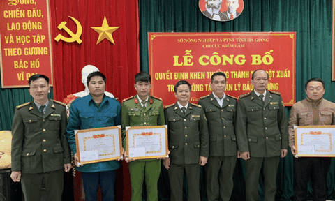 Bảo vệ rừng nghiến Phong Quang (Hà Giang)