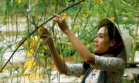 Bông điên điển