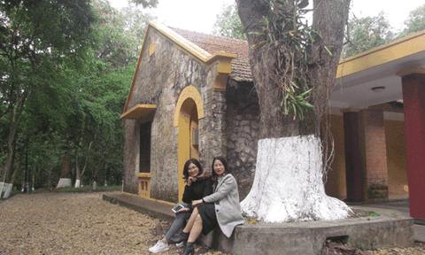 Tản mạn dưới non Tản