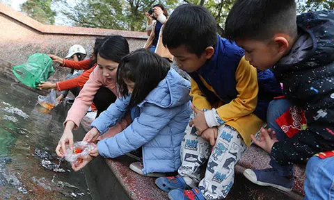 Cúng ông Công ông Táo - Nét đẹp văn hóa truyền thống của người Việt