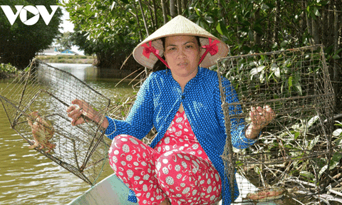 Cà Mau tổ chức “Ngày hội cua Năm Căn” vào tháng 9/2021