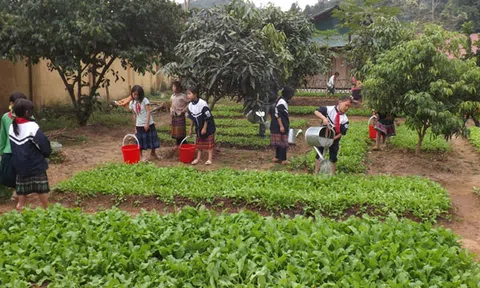 Gửi tình yêu vào con chữ nơi vùng cao