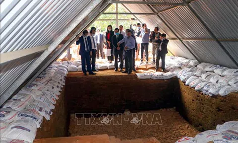 Bảo tồn và phát huy giá trị Di chỉ khảo cổ Chăm Phong Lệ