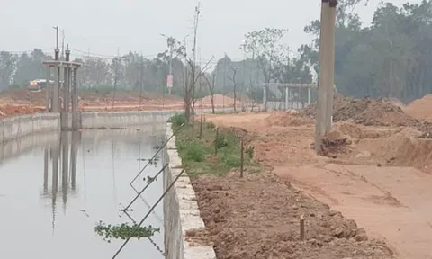 Cần làm rõ kẻ đốn hạ cây xanh ở CCN làng nghề Minh Phương