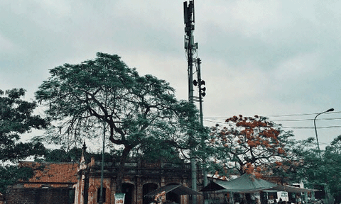 Truyện Liêu trai của Giáng Long Thập bát Chưởng sư