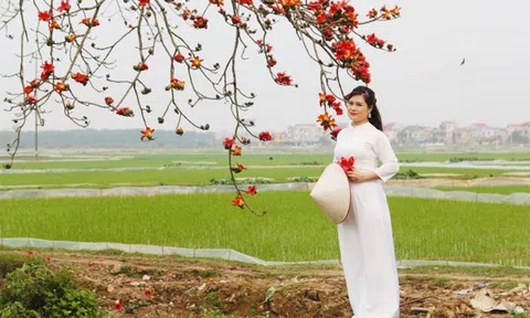 Ngây ngất tháng 3 mùa hoa gạo nở