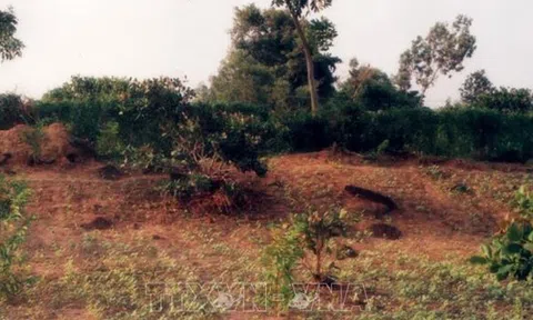 Bà Rịa - Vũng Tàu: Nghiên cứu và bảo tồn di tích Vòng Thành Đá Trắng