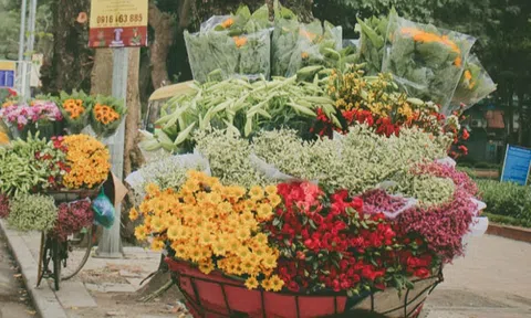 Những chuyến xe sắc hoa tô điểm đường phố Hà Nội