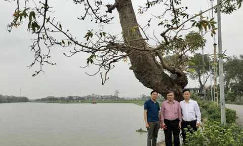 Khởi đăng phóng sự “Báu vật của làng” (Bài 1)