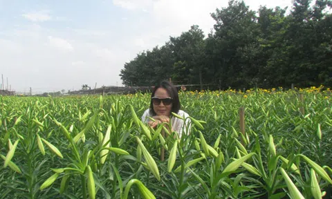 Giao mùa trên những sắc hoa