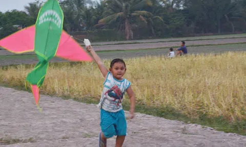 Hãy giữ lấy cánh diều tuổi thơ!