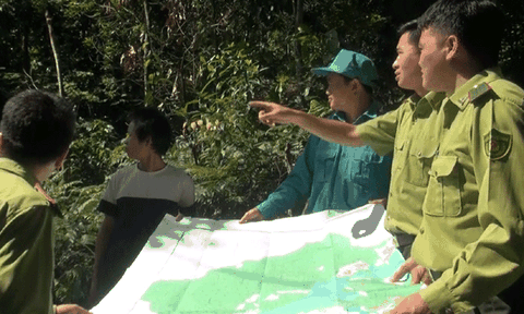 Tuyên Quang: Lâm Bình bảo vệ và phát triển rừng đầu nguồn