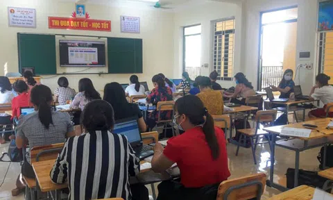 GD&ĐT Thạch Hà triển khai hệ thống quản lý học và thi trực tuyến