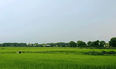 Xã Kim Liên: Quyết tâm xây dựng xã đạt chuẩn NTM kiểu mẫu 