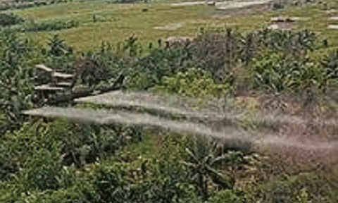 Nỗi đau da cam vẫn còn đó